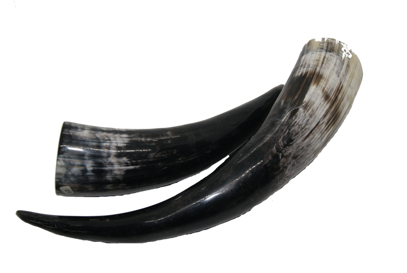 Trinkhorn ca. 0,2 Liter
