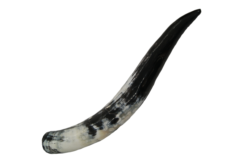 Trinkhorn ca. 1,0 Liter - 051