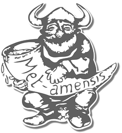 Amensis