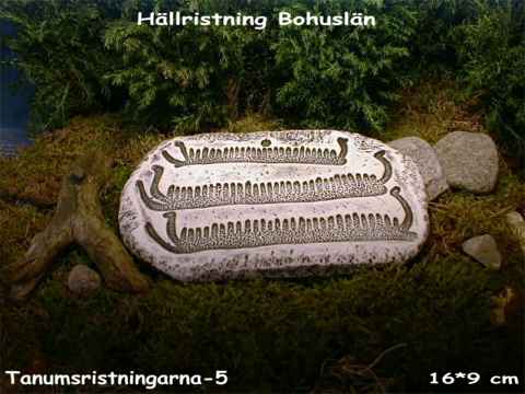 Image stone - rock carving from Tanumshede in Bohuslän - Sweden - No. 7