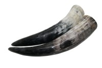 Trinkhorn ca. 0,3 Liter - 044 Trinkhorn ca. 0,3 Liter - 044